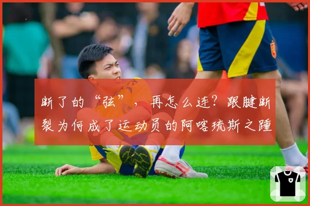 断了的“弦”，再怎么连？跟腱断裂为何成了运动员的阿喀琉斯之踵