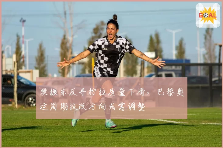 樊振东反手拧拉质量下滑,巴黎奥运周期技改方向或需调整